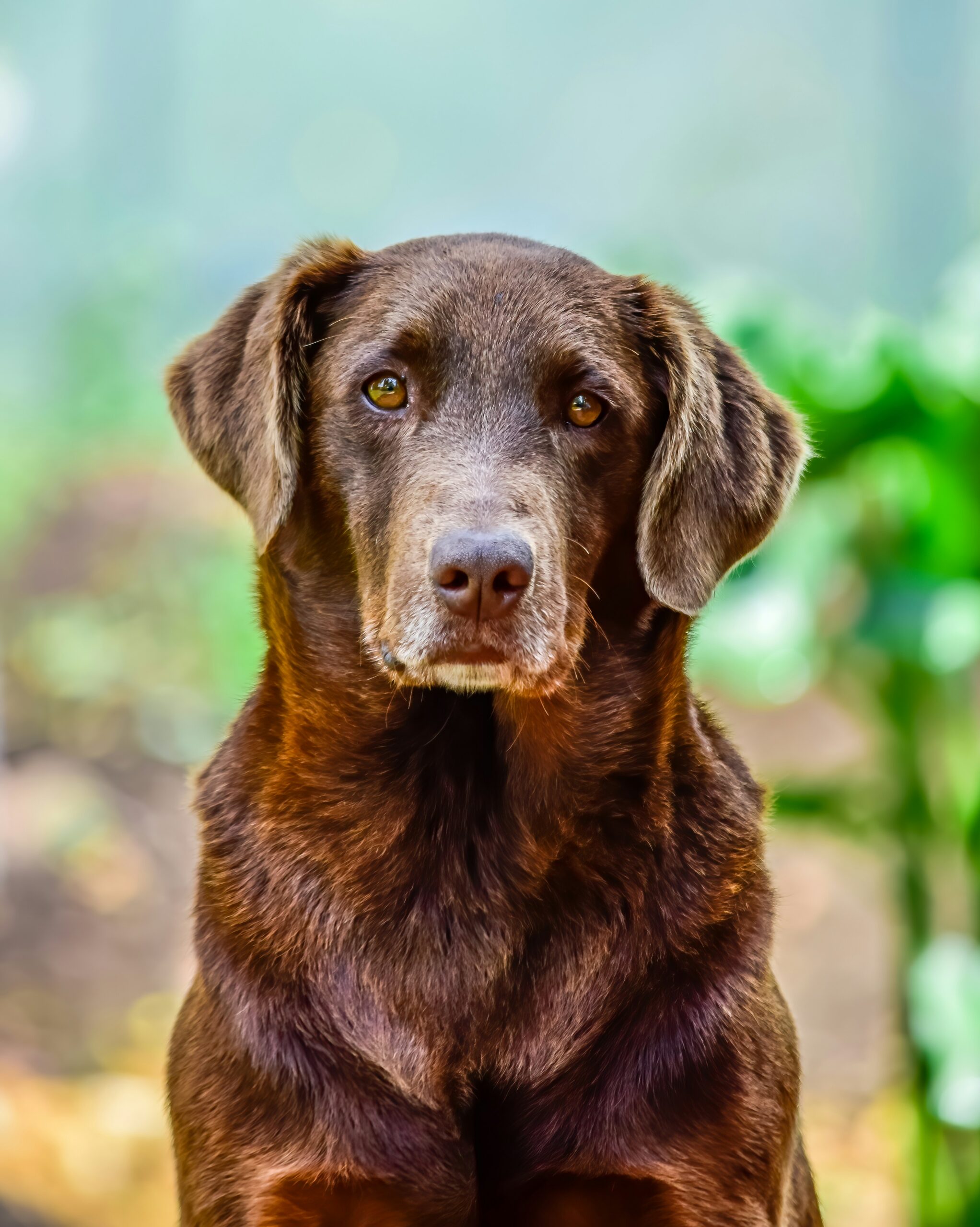 jairo-alzate-L-pkb93pBP8-unsplash