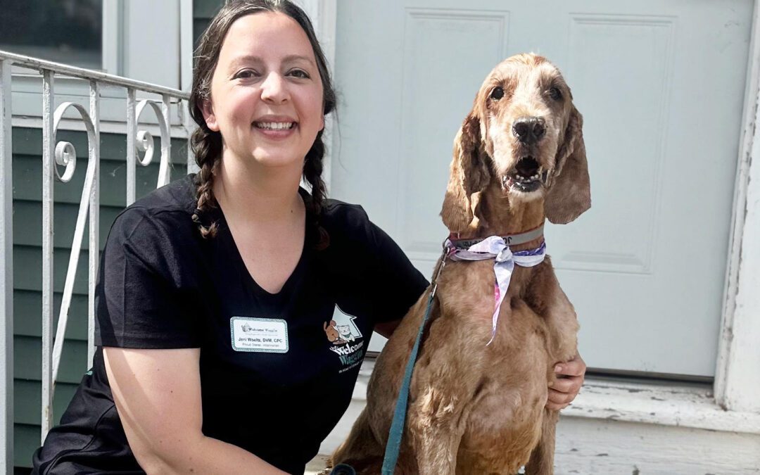 Paws and Read – Our Why Celebrating the Pets Who Shape Our Lives